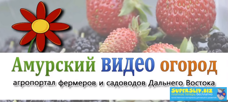 [Amurogorod] Полный курс по ведению приусадебного _0.png